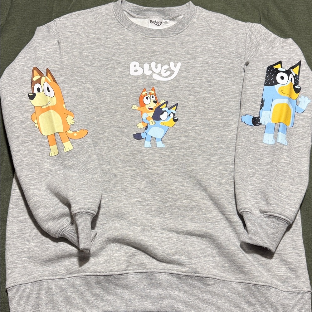 Gray Bluey Family Sweatshirt with Cartoon Characters